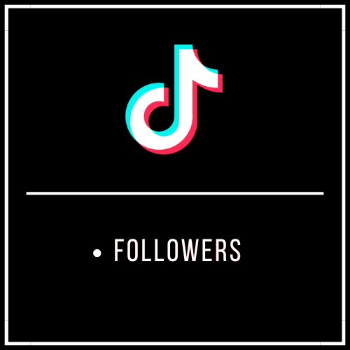 TikTik Followers